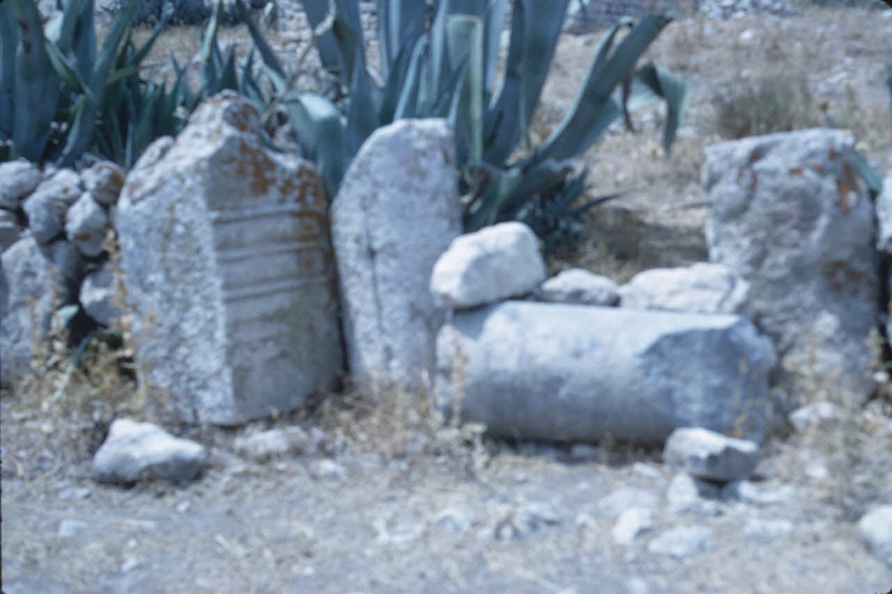 Jean-Pierre Martinon photographie Enquête conduite par Jean Cuisenier en Tunisie (1969) Gouvernorat de ?, Tunisie 1969/1/1 Ph.2007.19.40 Photo