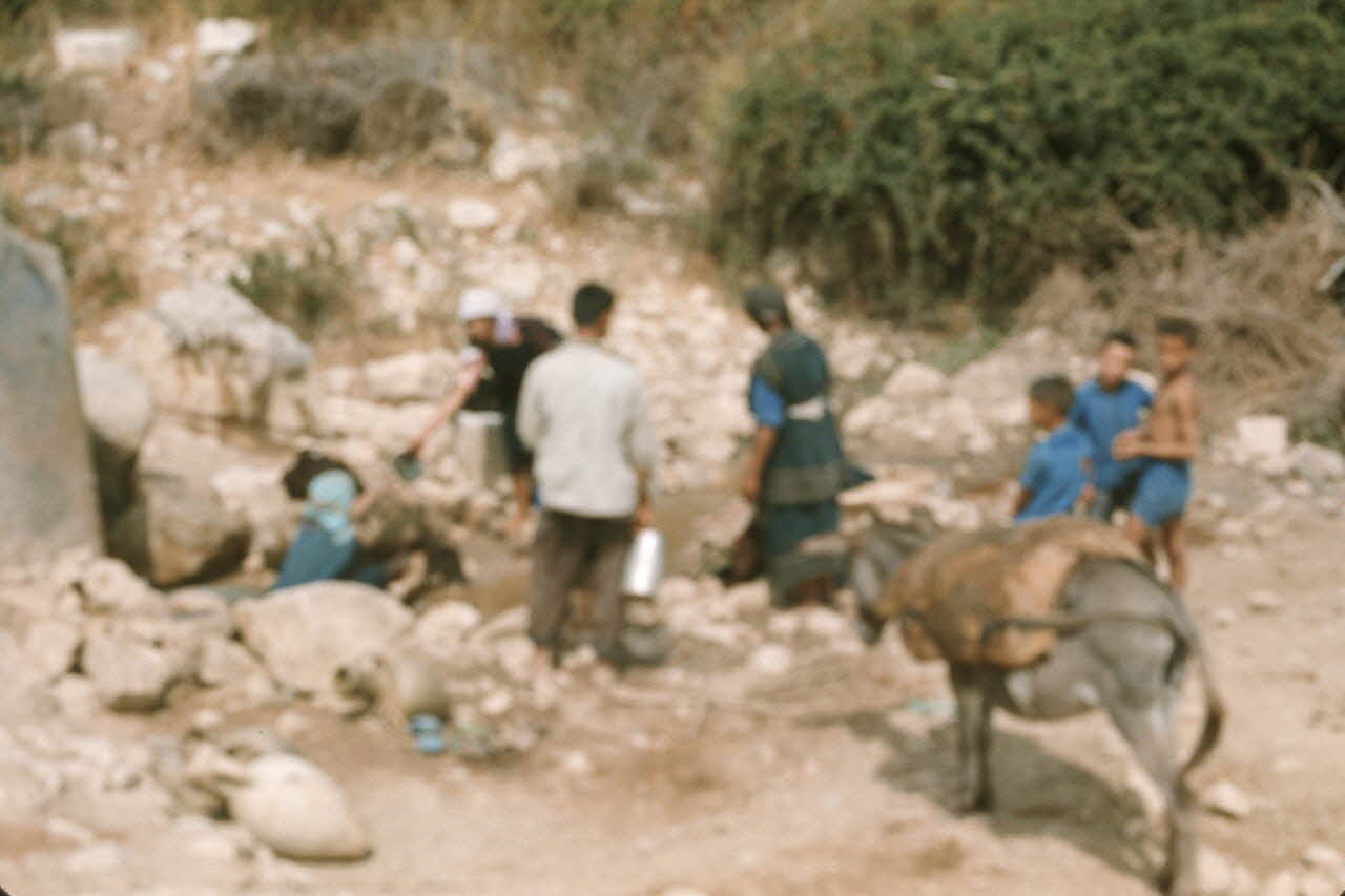Jean-Pierre Martinon photographie Enquête conduite par Jean Cuisenier en Tunisie (1969) Gouvernorat de Tunis, Tunisie 1969/1/1 Ph.2007.19.65 Photo