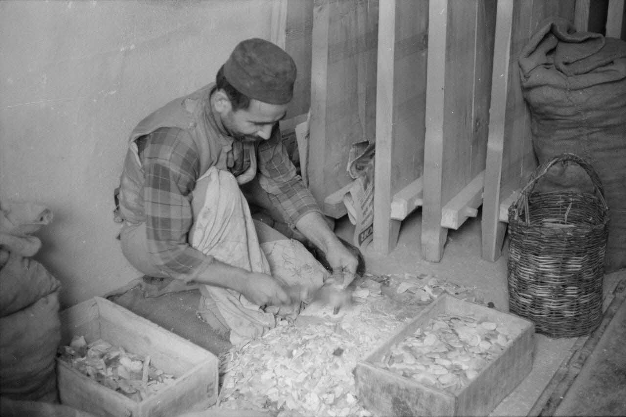 Jean-Pierre Martinon ; C. Martinon photographie Enquête conduite par Jean-Pierre Martinon et C. Martinon en Turquie (1968) Province de Konya, Turquie 1968/1/1 Ph.2007.20.12 Photo