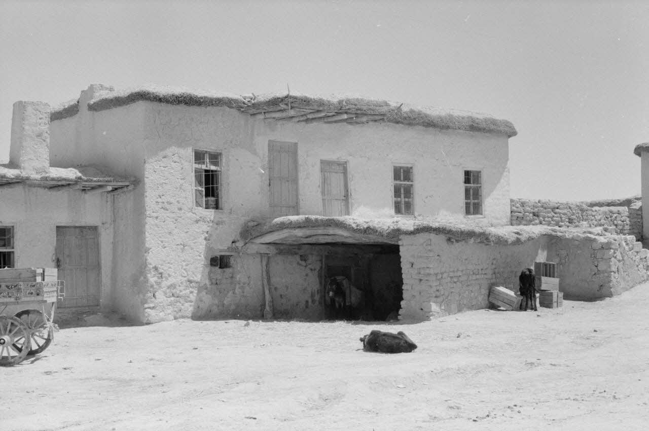 Jean-Pierre Martinon ; C. Martinon photographie Enquête conduite par Jean-Pierre Martinon et C. Martinon en Turquie (1968) Province de Diyarbakir, Turquie 1968/1/1 Ph.2007.21.22  Photo