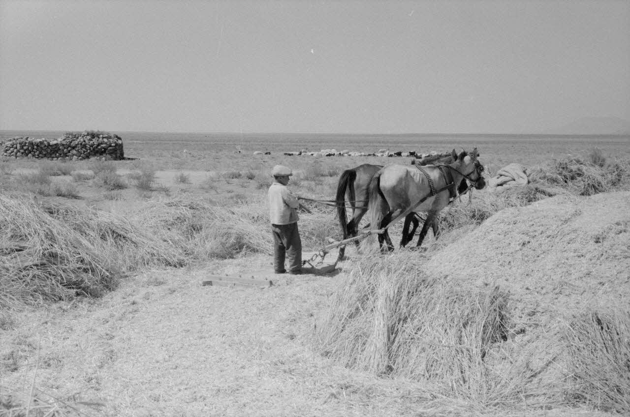 Jean-Pierre Martinon ; C. Martinon photographie Enquête conduite par Jean-Pierre Martinon et C. Martinon en Turquie (1968) Province de Karaman, Turquie 1968/1/1 Ph.2007.23.18 Photo