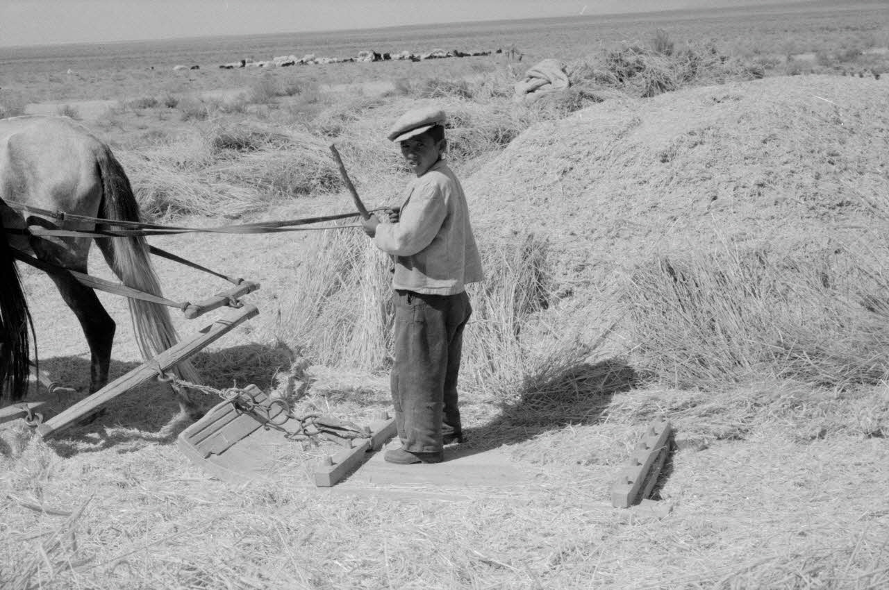 Jean-Pierre Martinon ; C. Martinon photographie Enquête conduite par Jean-Pierre Martinon et C. Martinon en Turquie (1968) Province de Konya ?, Turquie 1968/1/1 Ph.2007.23.20 Photo
