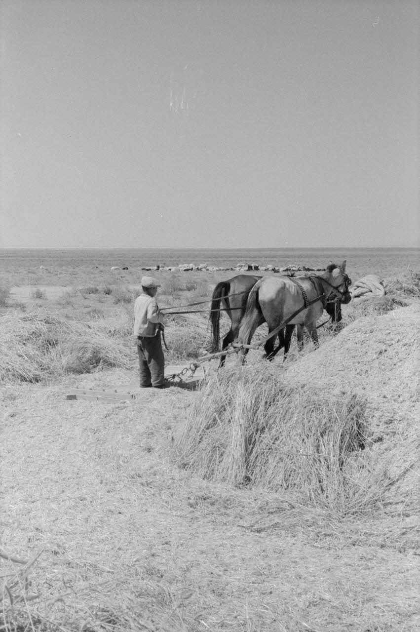 Jean-Pierre Martinon ; C. Martinon photographie Enquête conduite par Jean-Pierre Martinon et C. Martinon en Turquie (1968) Province de Konya ?, Turquie 1968/1/1 Ph.2007.23.21 Photo