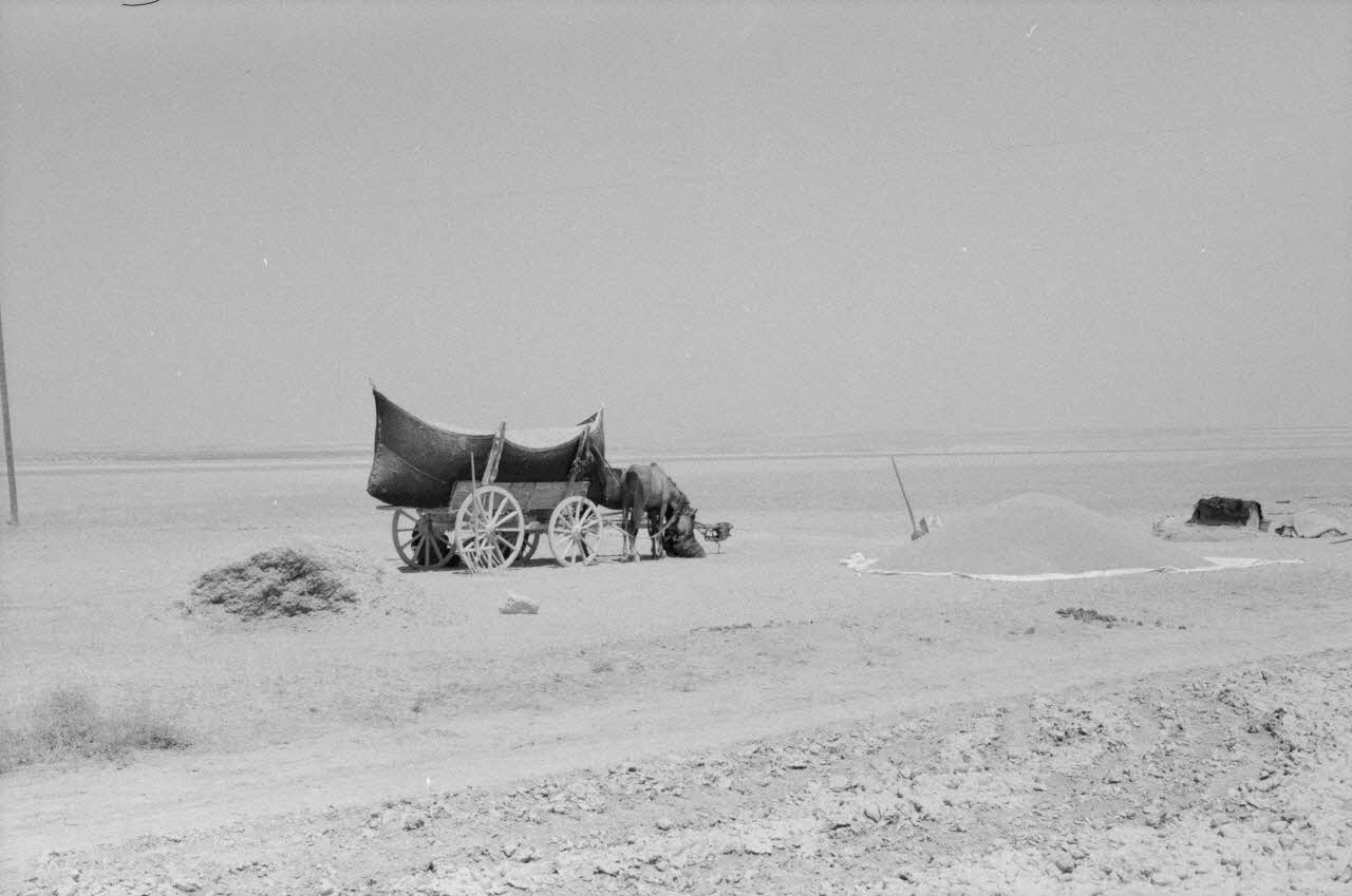 Jean-Pierre Martinon ; C. Martinon photographie Enquête conduite par Jean-Pierre Martinon et C. Martinon en Turquie (1968) Province de Konya ?, Turquie 1968/1/1 Ph.2007.23.22 Photo