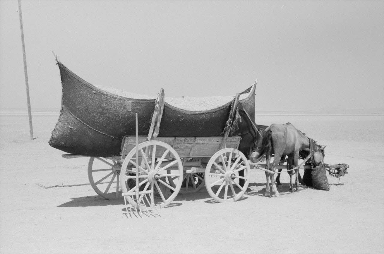 Jean-Pierre Martinon ; C. Martinon photographie Enquête conduite par Jean-Pierre Martinon et C. Martinon en Turquie (1968) Province de Konya ?, Turquie 1968/1/1 Ph.2007.23.23 Photo