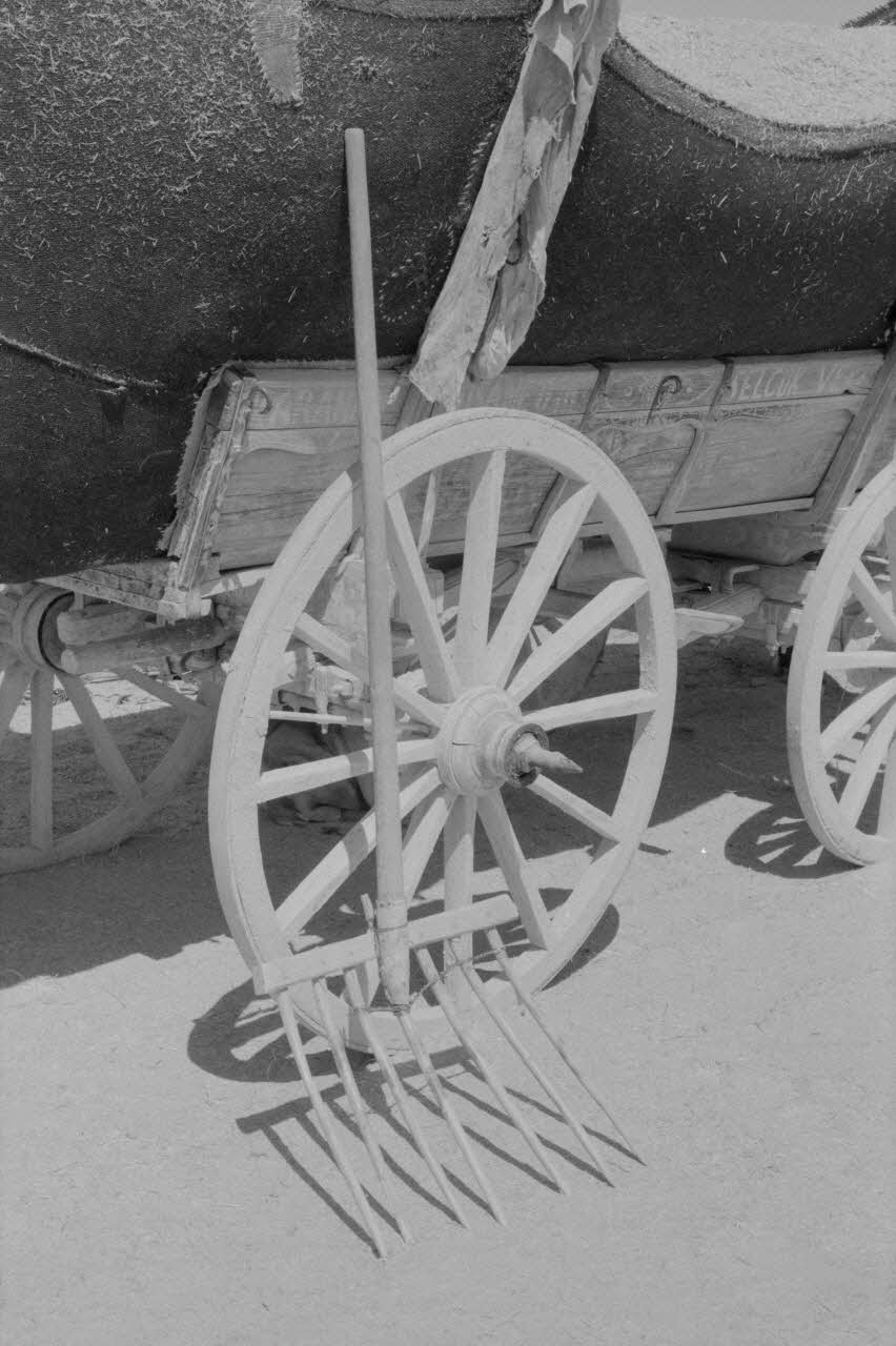 Jean-Pierre Martinon ; C. Martinon photographie Enquête conduite par Jean-Pierre Martinon et C. Martinon en Turquie (1968) Province de Konya ?, Turquie 1968/1/1 Ph.2007.23.24 Photo