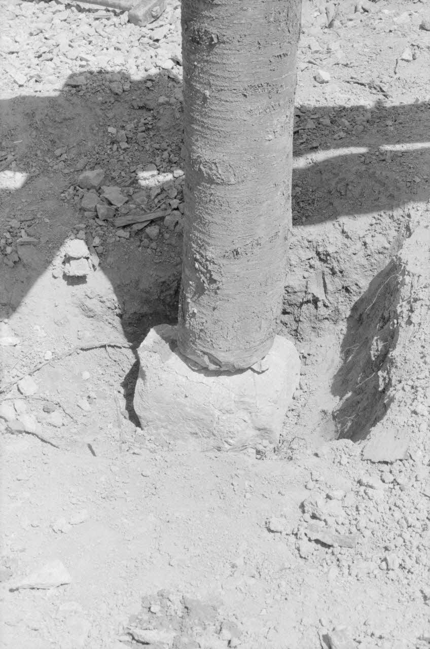 Jean-Pierre Martinon ; C. Martinon photographie Enquête conduite par Jean-Pierre Martinon et C. Martinon en Turquie (1968) Province de Mersin, Turquie 1968/1/1 Ph.2007.25.16 Photo
