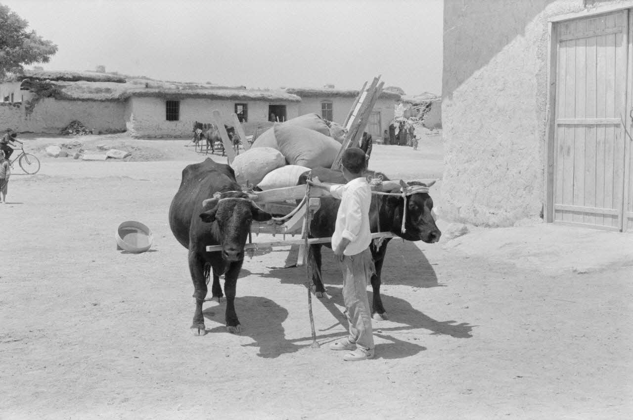 Jean-Pierre Martinon ; C. Martinon photographie Enquête conduite par Jean-Pierre Martinon et C. Martinon en Turquie (1968) Province de Konya, Turquie 1968/1/1 Ph.2007.26.26 Photo