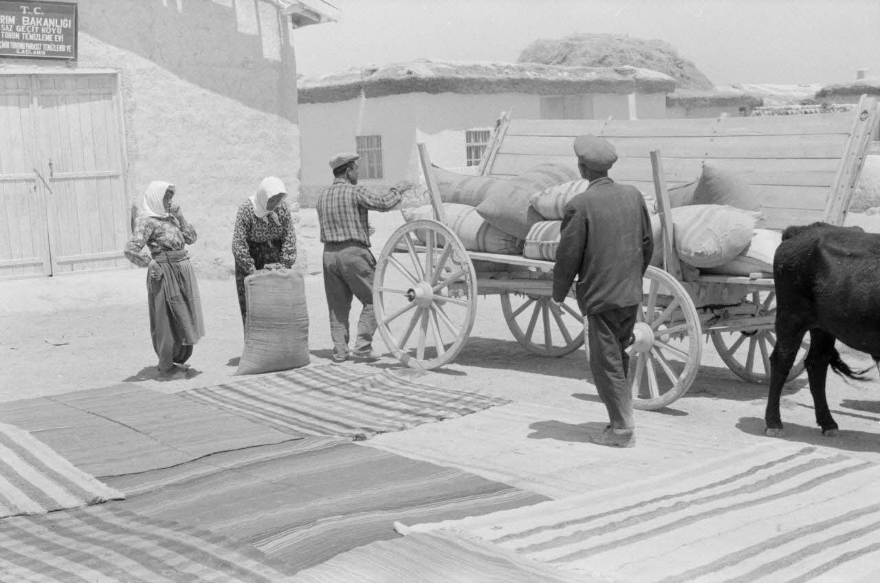 Jean-Pierre Martinon ; C. Martinon photographie Enquête conduite par Jean-Pierre Martinon et C. Martinon en Turquie (1968) Province de Konya, Turquie 1968/1/1 Ph.2007.26.27 Photo