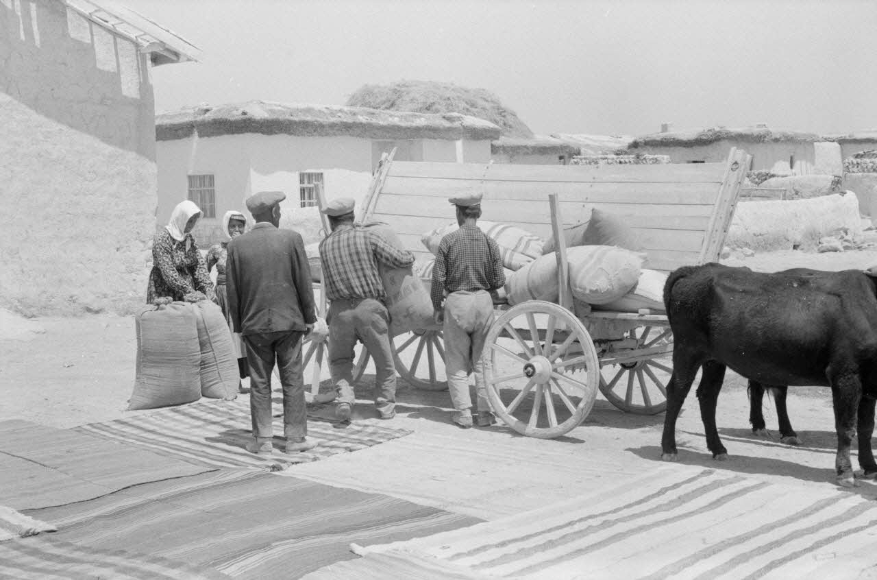 Jean-Pierre Martinon ; C. Martinon photographie Enquête conduite par Jean-Pierre Martinon et C. Martinon en Turquie (1968) Province de Konya, Turquie 1968/1/1 Ph.2007.26.28 Photo