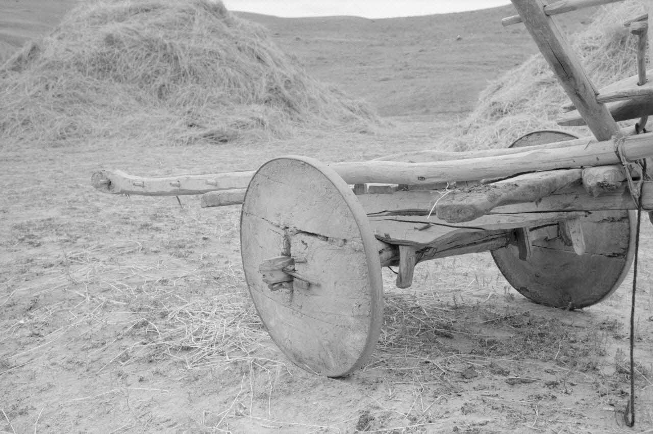 Jean-Pierre Martinon ; C. Martinon photographie Enquête conduite par Jean-Pierre Martinon et C. Martinon en Turquie (1968) Province d'Ankara, Turquie 1968/1/1 Ph.2007.32.4 Photo