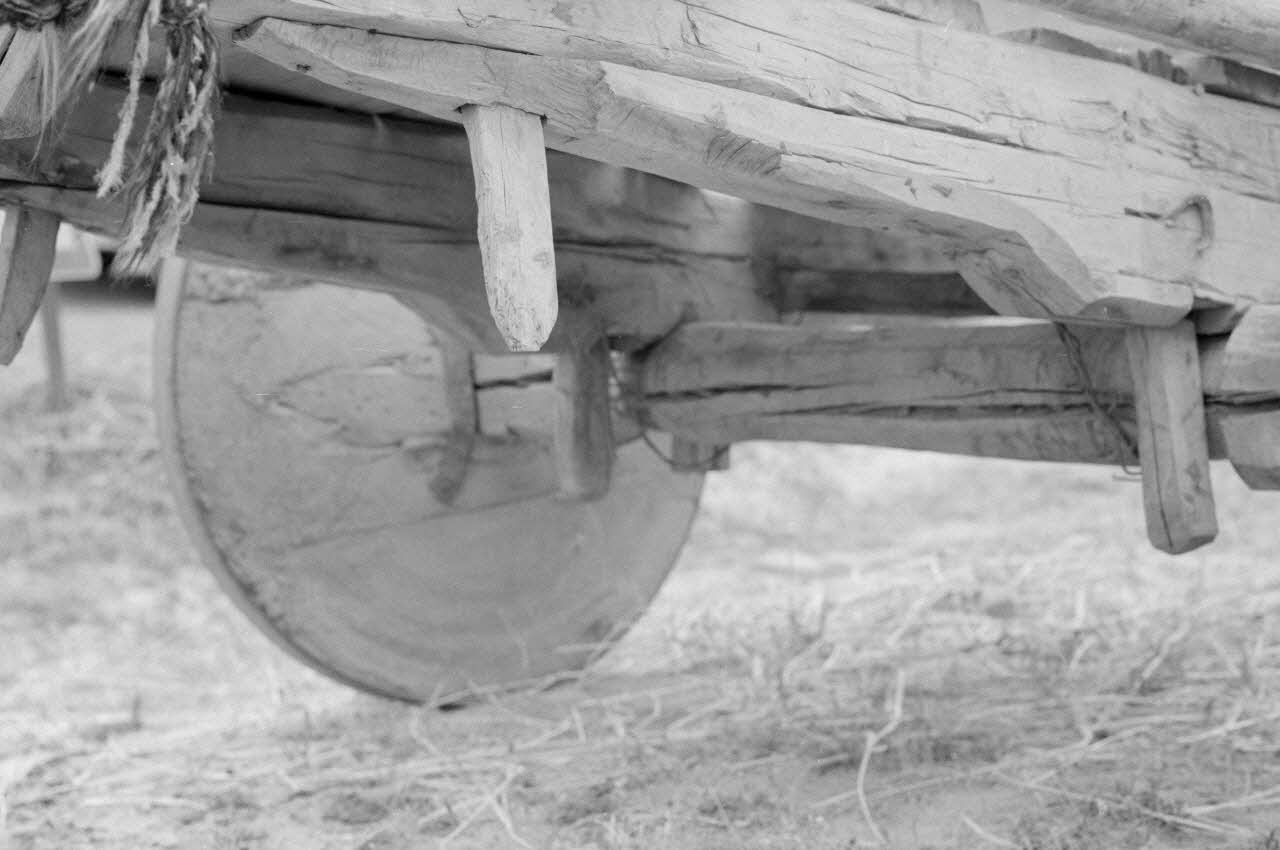 Jean-Pierre Martinon ; C. Martinon photographie Enquête conduite par Jean-Pierre Martinon et C. Martinon en Turquie (1968) Province d'Ankara, Turquie 1968/1/1 Ph.2007.32.6 Photo
