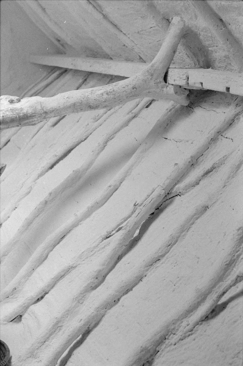 Jean-Pierre Martinon ; C. Martinon photographie Enquête conduite par Jean Cuisenier, Jean-Pierre Martinon et C. Martinon en Tunisie (juillet et août 1969) Gouvernorat de ?, Tunisie 1969/7/1-1969/8/1 Ph.2007.34.29 Photo