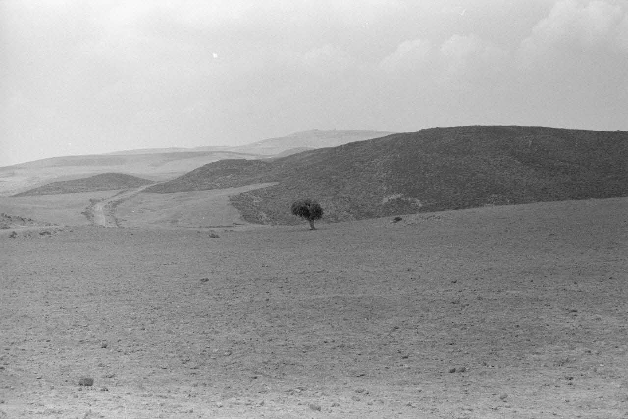 Jean-Pierre Martinon ; C. Martinon photographie Enquête conduite par Jean Cuisenier, Jean-Pierre Martinon et C. Martinon en Tunisie (juillet et août 1969) Gouvernorat de ?, Tunisie 1969/7/1-1969/8/1 Ph.2007.34.5 Photo