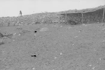 Jean-Pierre Martinon ; C. Martinon photographie Enquête conduite par Jean Cuisenier, Jean-Pierre Martinon et C. Martinon en Tunisie (juillet et août 1969) Gouvernorat de ?, Tunisie 1969/7/1-1969/8/1 Ph.2007.37.3 Photo