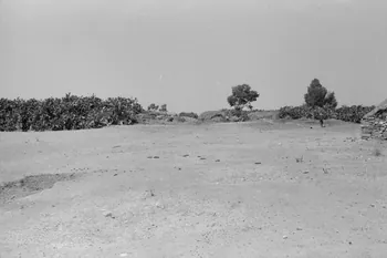 Jean-Pierre Martinon ; C. Martinon photographie Enquête conduite par Jean Cuisenier, Jean-Pierre Martinon et C. Martinon en Tunisie (juillet et août 1969) Gouvernorat de ?, Tunisie 1969/7/1-1969/8/1 Ph.2007.37.33 Photo