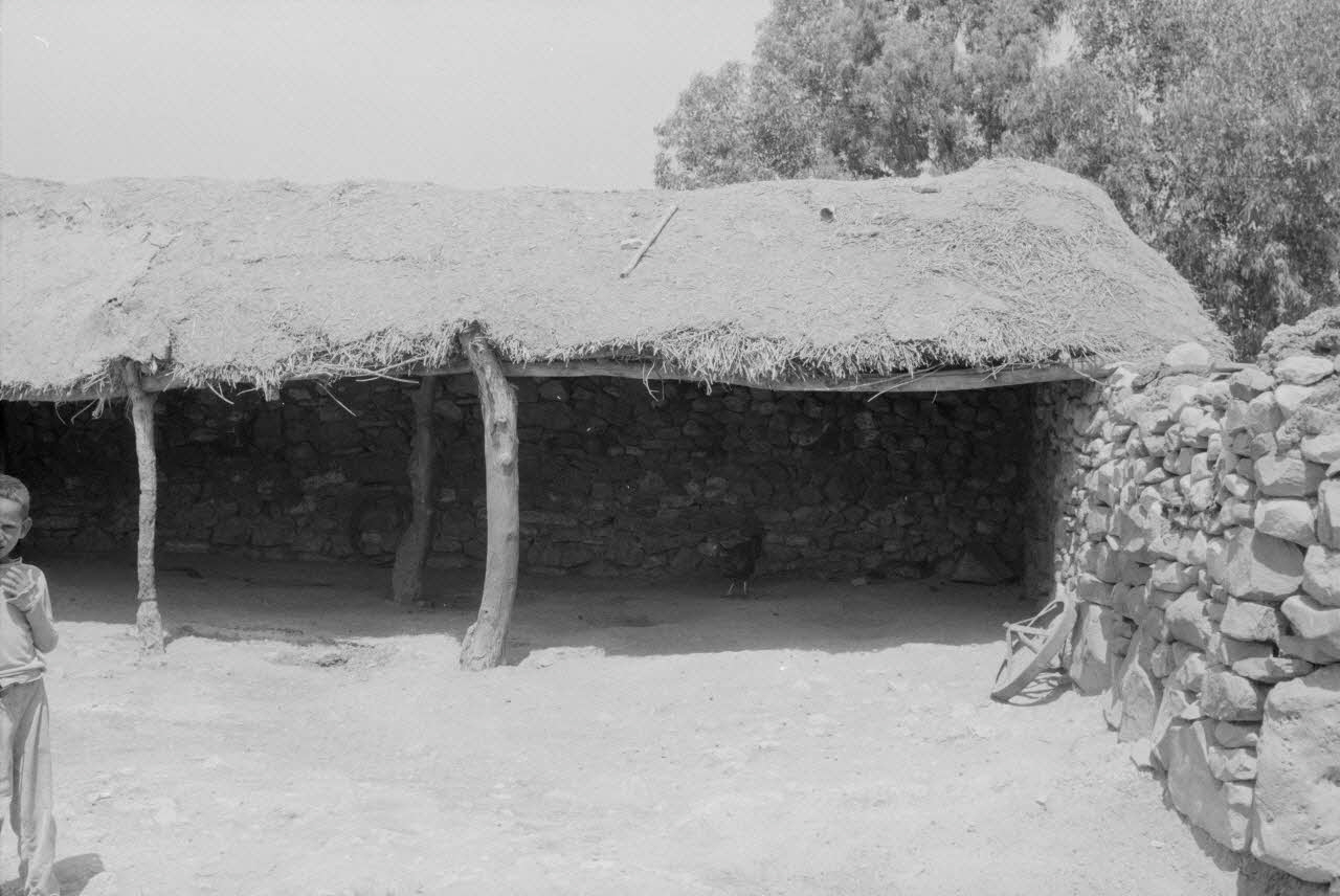Jean-Pierre Martinon ; C. Martinon photographie Enquête conduite par Jean Cuisenier, Jean-Pierre Martinon et C. Martinon en Tunisie (juillet et août 1969) Gouvernorat de ?, Tunisie 1969/7/1-1969/8/1 Ph.2007.39.18 Photo