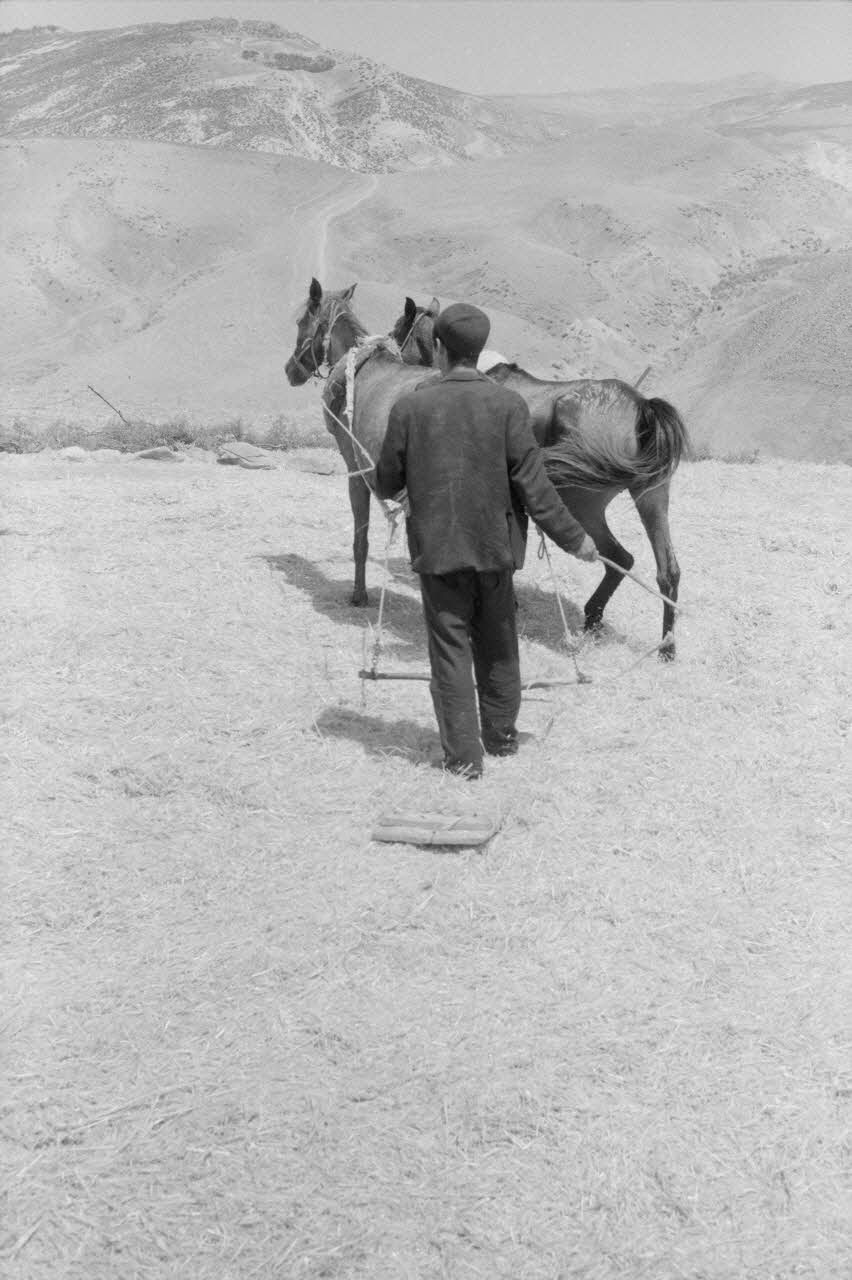 Jean-Pierre Martinon ; C. Martinon photographie Enquête conduite par Jean Cuisenier, Jean-Pierre Martinon et C. Martinon en Tunisie (juillet et août 1969) Gouvernorat de ?, Tunisie 1969/7/1-1969/8/1 Ph.2007.39.21 Photo