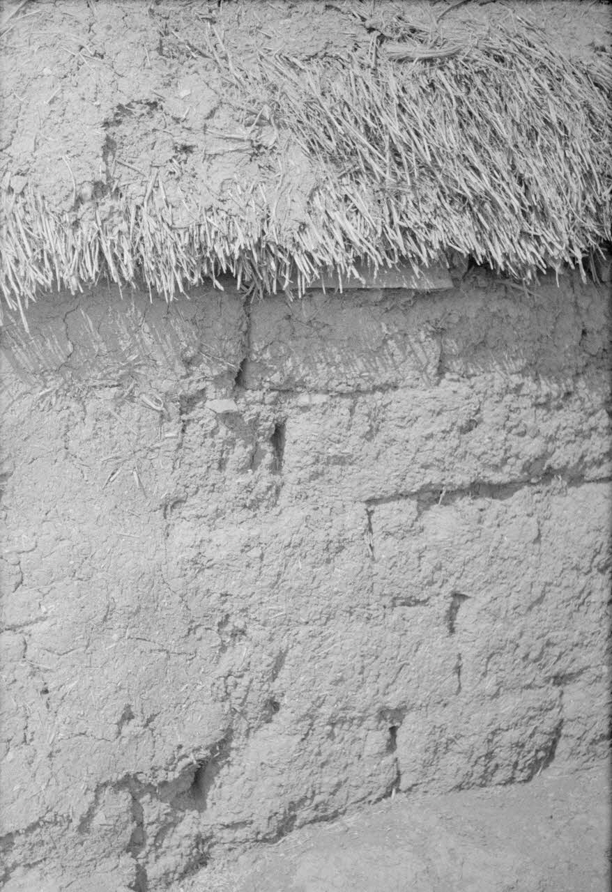 Jean-Pierre Martinon ; C. Martinon photographie Enquête conduite par Jean Cuisenier, Jean-Pierre Martinon et C. Martinon en Tunisie (juillet et août 1969) Gouvernorat de ?, Tunisie 1969/7/1-1969/8/1 Ph.2007.39.40 Photo