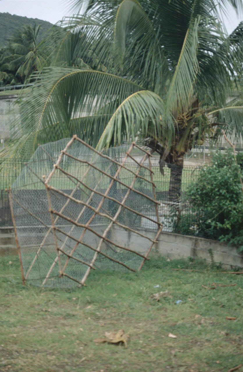 photographie Enquête conduite par Jean Cuisenier en Martinique Ph.2007.4.11 Photo