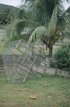 photographie Enquête conduite par Jean Cuisenier en Martinique Ph.2007.4.11 Photo