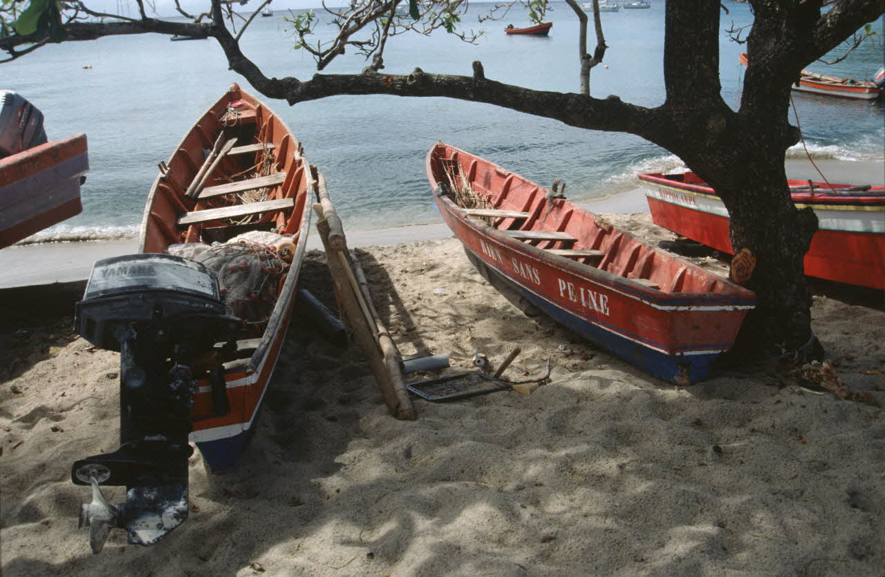 photographie Enquête conduite par Jean Cuisenier en Martinique Ph.2007.4.20 Photo