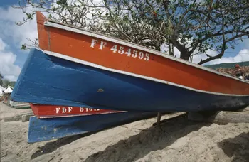 photographie Enquête conduite par Jean Cuisenier en Martinique Ph.2007.4.21  Photo