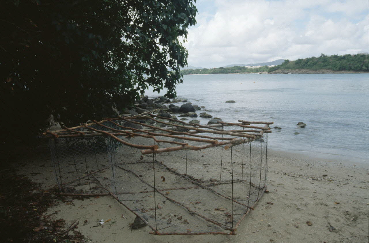 photographie Enquête conduite par Jean Cuisenier en Martinique Ph.2007.4.28 Photo
