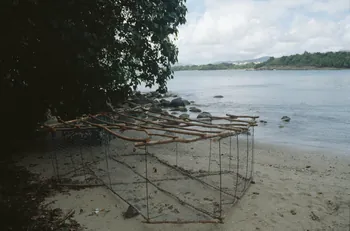 photographie Enquête conduite par Jean Cuisenier en Martinique Ph.2007.4.28 Photo