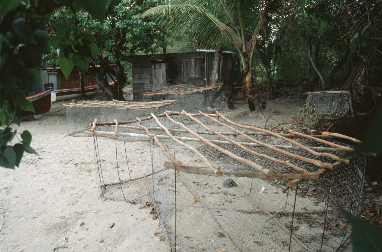 photographie Enquête conduite par Jean Cuisenier en Martinique Ph.2007.4.29 Photo
