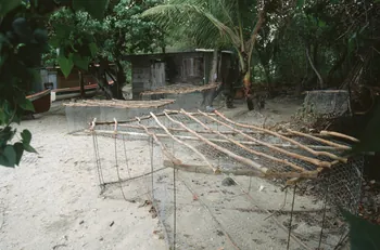 photographie Enquête conduite par Jean Cuisenier en Martinique Ph.2007.4.29 Photo