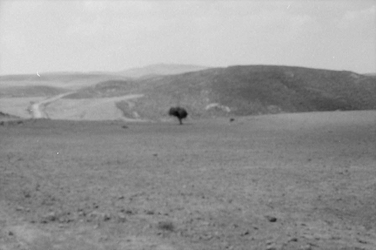 Jean-Pierre Martinon ; C. Martinon photographie Enquête conduite par Jean Cuisenier, Jean-Pierre Martinon et C. Martinon en Tunisie (juillet et août 1969) Tunisie 1969/7/1-1969/8/1 Ph.2007.41.27 Photo