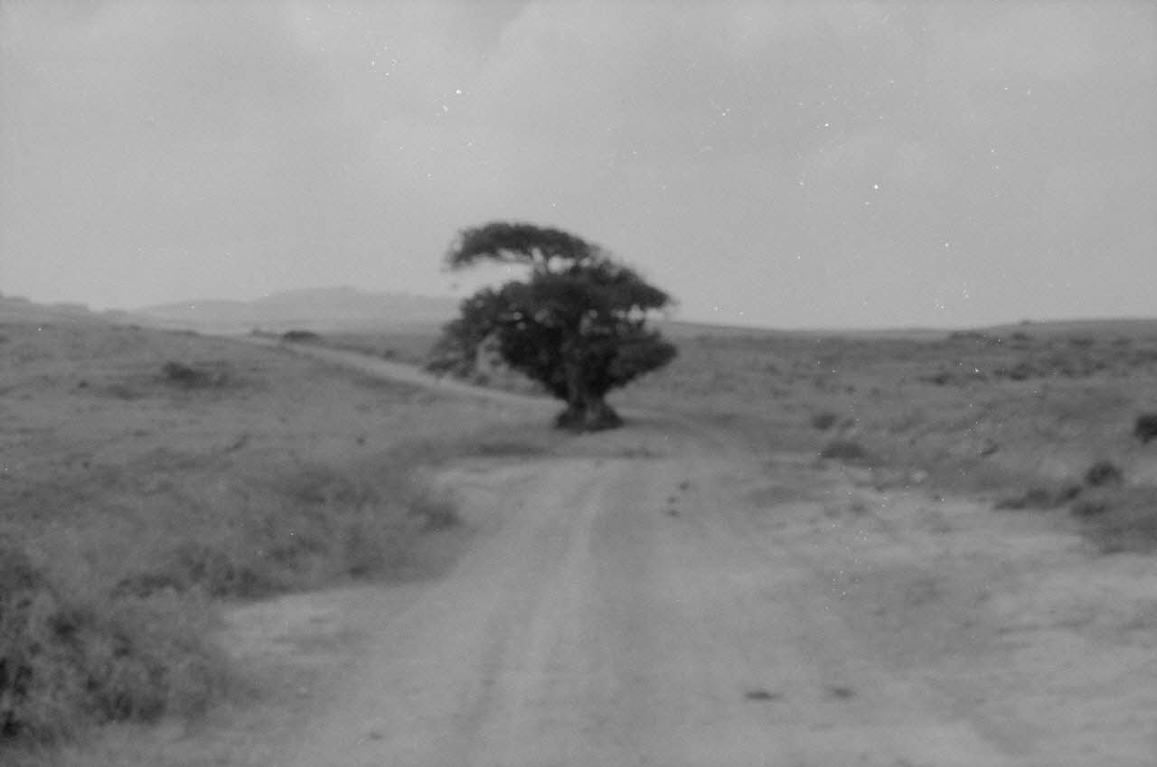 Jean-Pierre Martinon ; C. Martinon photographie Enquête conduite par Jean Cuisenier, Jean-Pierre Martinon et C. Martinon en Tunisie (juillet et août 1969) Tunisie 1969/7/1-1969/8/1 Ph.2007.41.29 Photo