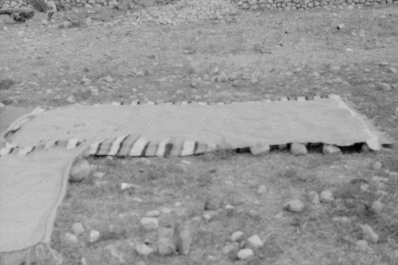 Jean-Pierre Martinon ; C. Martinon photographie Enquête conduite par Jean Cuisenier, Jean-Pierre Martinon et C. Martinon en Tunisie (juillet et août 1969) Tunisie 1969/7/1-1969/8/1 Ph.2007.41.30 Photo