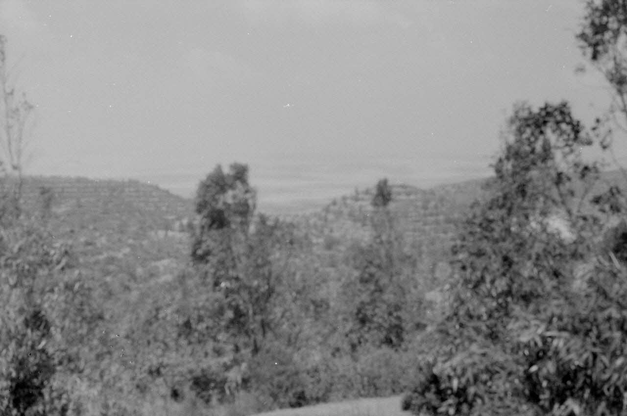 Jean-Pierre Martinon ; C. Martinon photographie Enquête conduite par Jean Cuisenier, Jean-Pierre Martinon et C. Martinon en Tunisie (juillet et août 1969) Gouvernorat de ?, Tunisie 1969/7/1-1969/8/1 Ph.2007.41.31 Photo