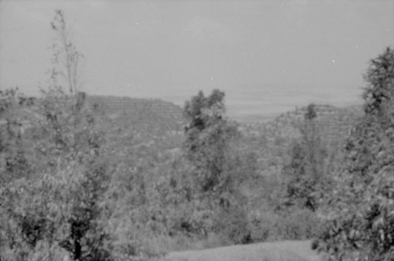 Jean-Pierre Martinon ; C. Martinon photographie Enquête conduite par Jean Cuisenier, Jean-Pierre Martinon et C. Martinon en Tunisie (juillet et août 1969) Gouvernorat de ?, Tunisie 1969/7/1-1969/8/1 Ph.2007.41.32 Photo