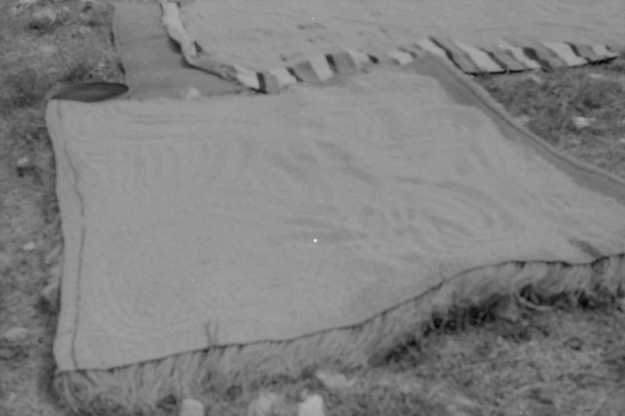 Jean-Pierre Martinon ; C. Martinon photographie Enquête conduite par Jean Cuisenier, Jean-Pierre Martinon et C. Martinon en Tunisie (juillet et août 1969) Gouvernorat de ?, Tunisie 1969/7/1-1969/8/1 Ph.2007.41.37 Photo