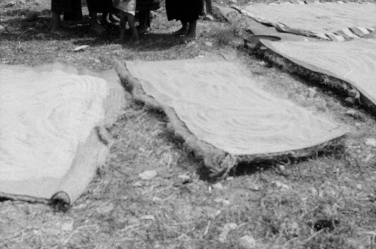 Jean-Pierre Martinon ; C. Martinon photographie Enquête conduite par Jean Cuisenier, Jean-Pierre Martinon et C. Martinon en Tunisie (juillet et août 1969) Gouvernorat de ?, Tunisie 1969/7/1-1969/8/1 Ph.2007.41.38 Photo