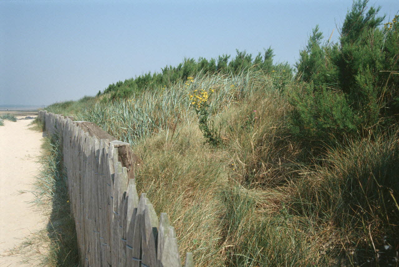 Jean Cuisenier photographie Enquête conduite par Jean Cuisenier dans le Calvados (du 25 au 30 juillet 1995) Basse-Normandie, France 1995/7/25 Ph.2007.44.12 Photo