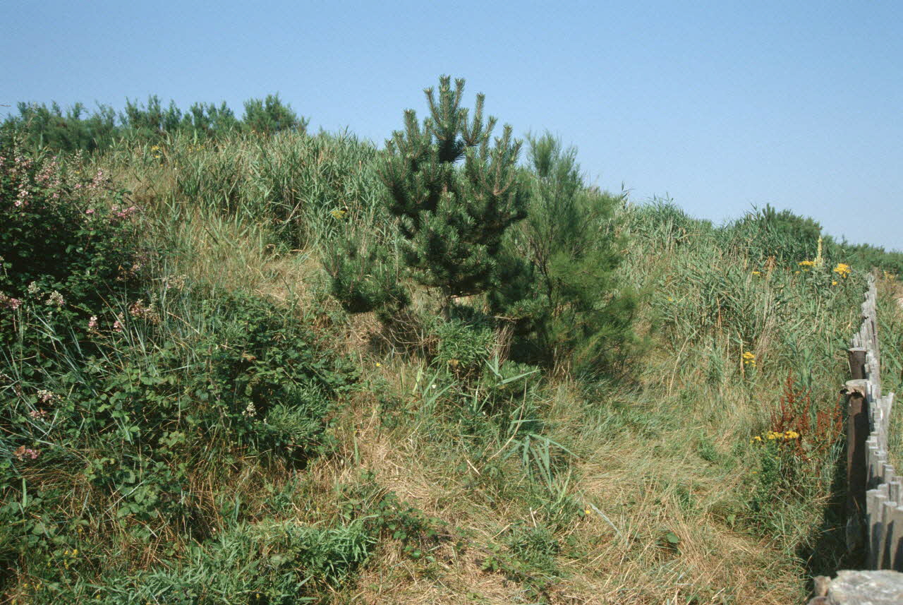 Jean Cuisenier photographie Enquête conduite par Jean Cuisenier dans le Calvados (du 25 au 30 juillet 1995) Basse-Normandie, France 1995/7/25 Ph.2007.44.21 Photo