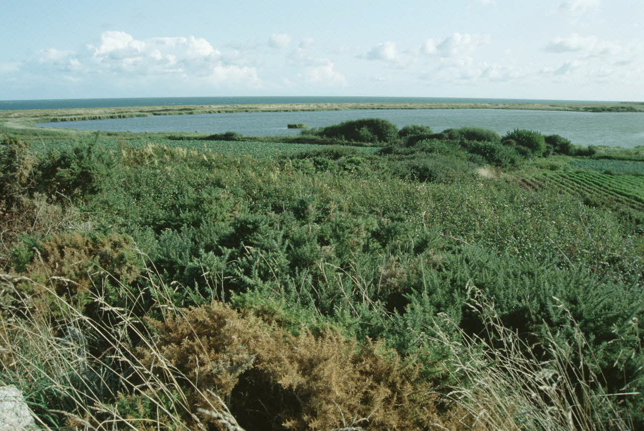 Jean Cuisenier photographie Enquête conduite par Jean Cuisenier dans la Manche (octobre 1992) Basse-Normandie, France 1992/10/1 Ph.2007.7.32 Photo