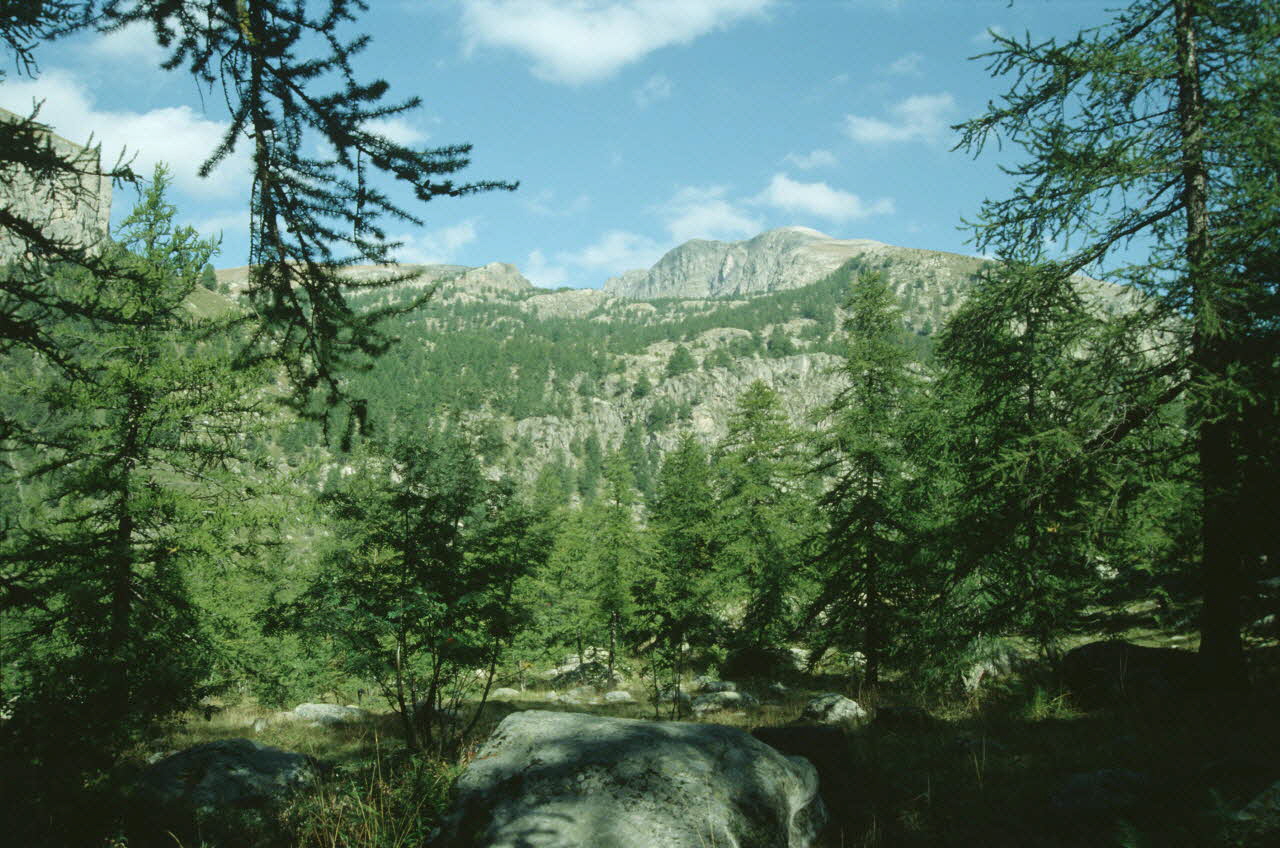 Jean Cuisenier photographie Enquête conduite par Jean Cuisenier au Mont Bégo dans les Alpes-Maritimes (du 25 au 27 septembre 1992) Provence-Alpes-Côte d'Azur, France 1992/9/25 Ph.2007.8.1 Photo