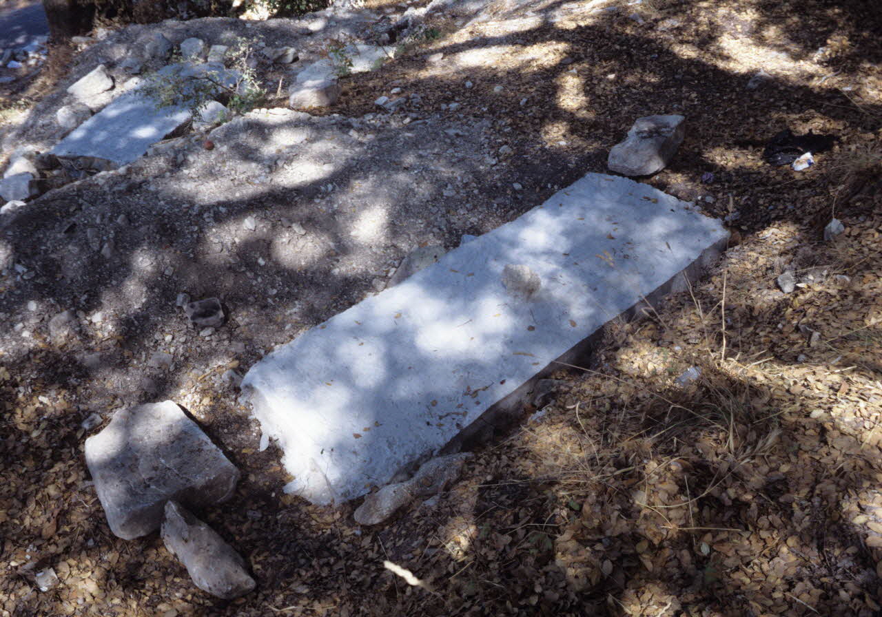 photographie Forêt de chênes séculaires autour du sanctuaire de Sour. Tombes isolées sous les arbres Ph.2008.2.34 Photo