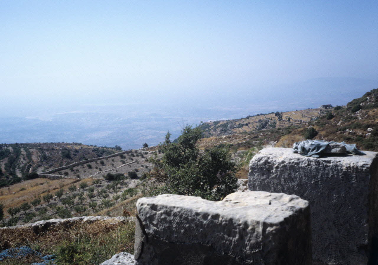 photographie Tombes du cimetière de Sour (900m). Vue des terrasses d'oliviers Ph.2008.2.35 Photo