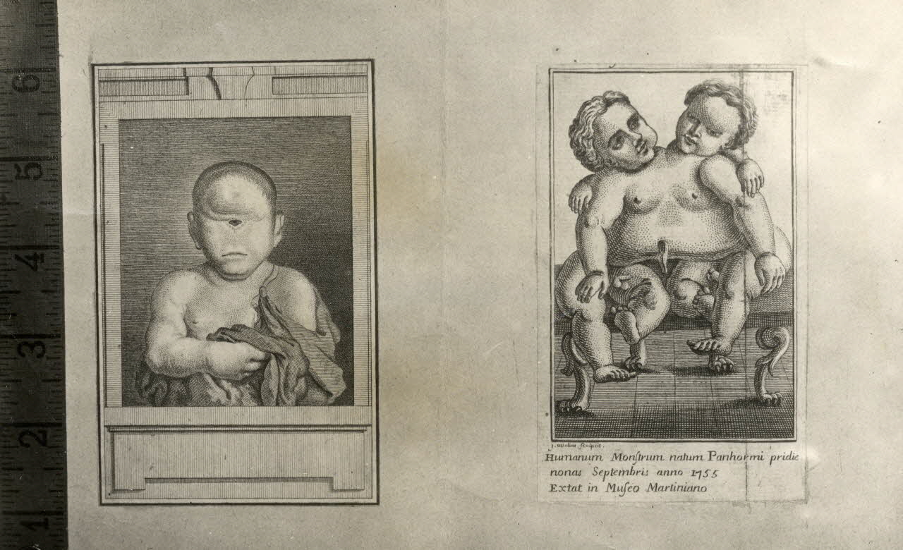 Anonyme photographie Collection Adrien de Mortillet 1918-1931 Ph.2009.00.12.27 Photo