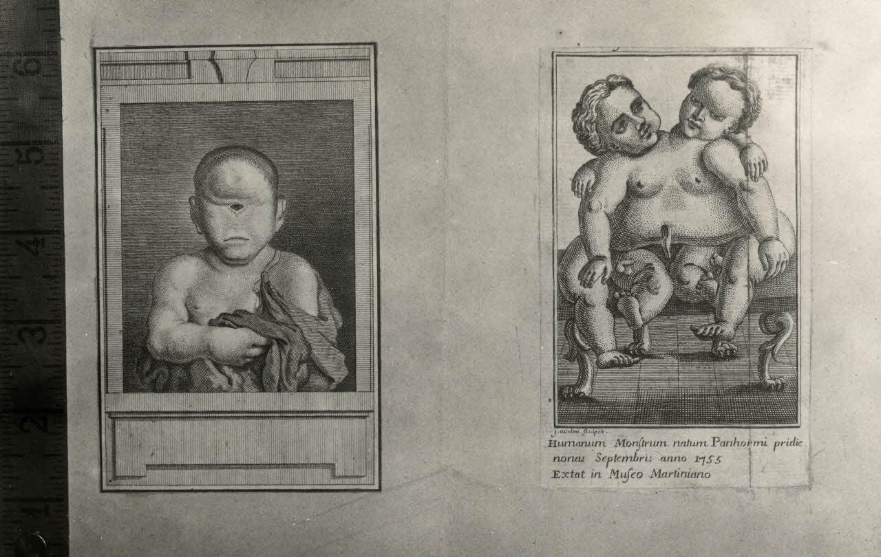 Anonyme photographie Collection Adrien de Mortillet 1918-1931 Ph.2009.00.12.28 Photo