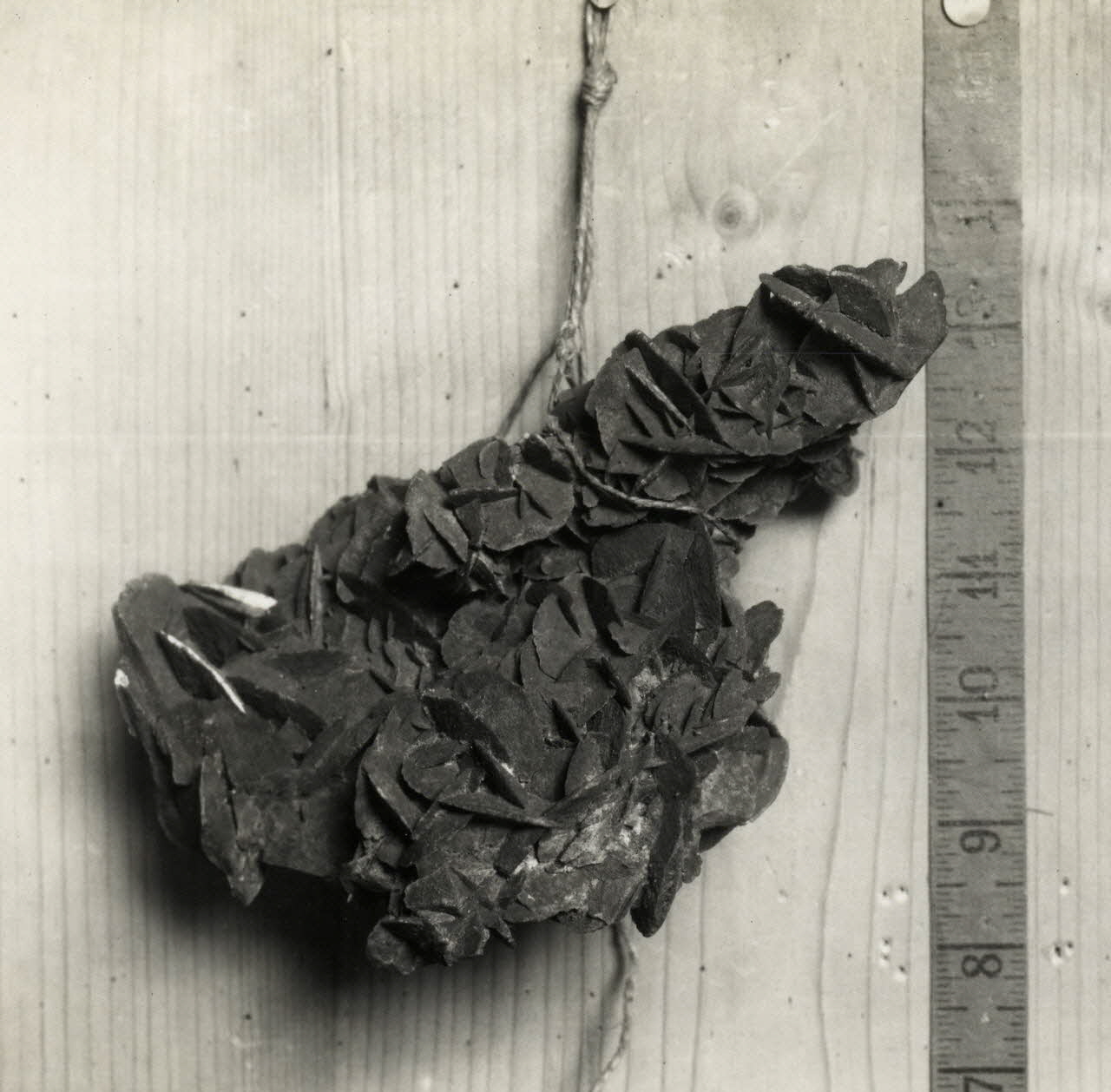 Anonyme photographie Collection Adrien de Mortillet 1918-1931 Ph.2009.00.12.57 Photo