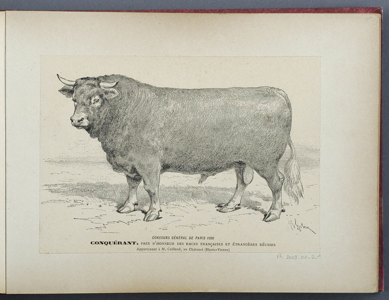 Anonyme photographie Fonds Laplaud Ile-de-France, France 1886 Ph.2009.00.2.1 Photo