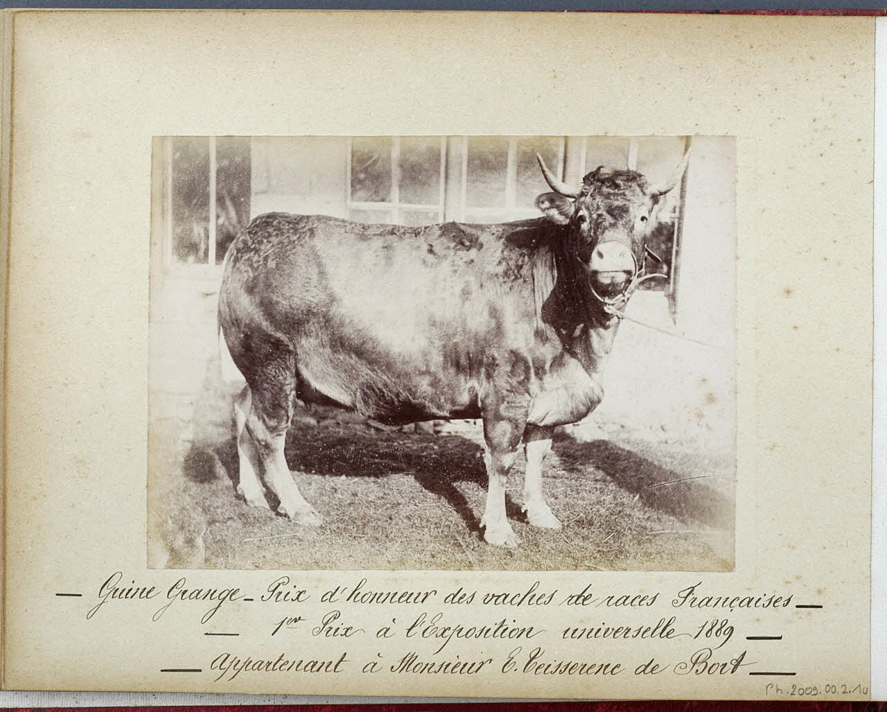 Anonyme photographie Fonds Laplaud France 1889 Ph.2009.00.2.10 Photo