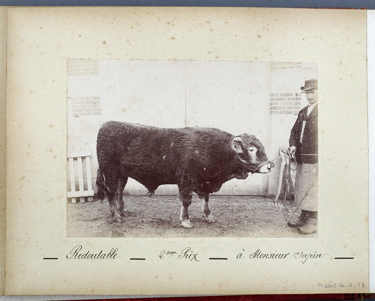 Anonyme photographie Fonds Laplaud France 1893/9/27 Ph.2009.00.2.18 Photo